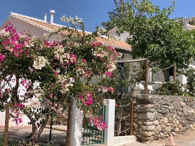 Casa Isabel - La Almona Chica Guest House เอลชอร์โร ภายนอก รูปภาพ